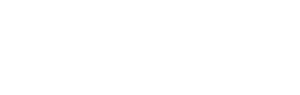 LOGO MULTICERAM